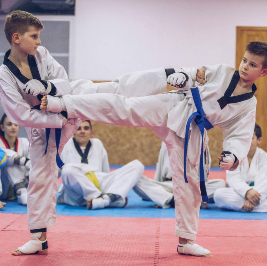 Martial arts for competition