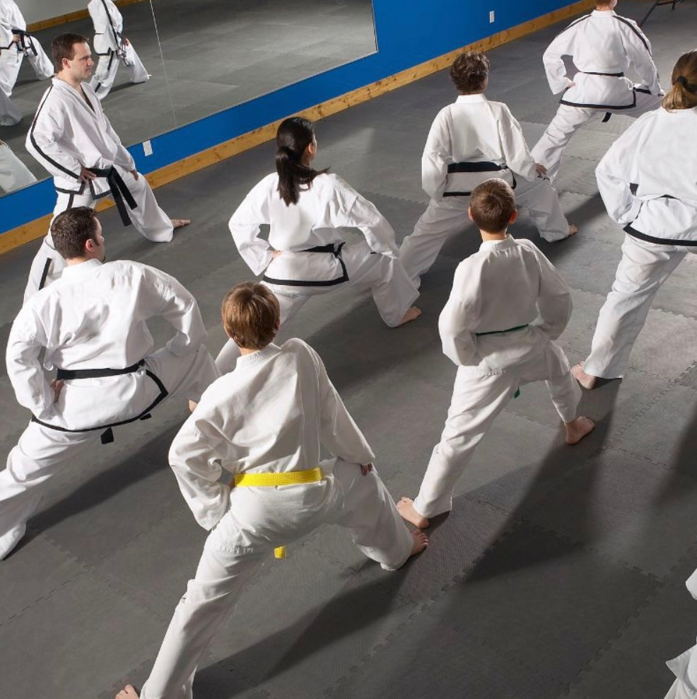 How do martial arts affect children's behavior? 